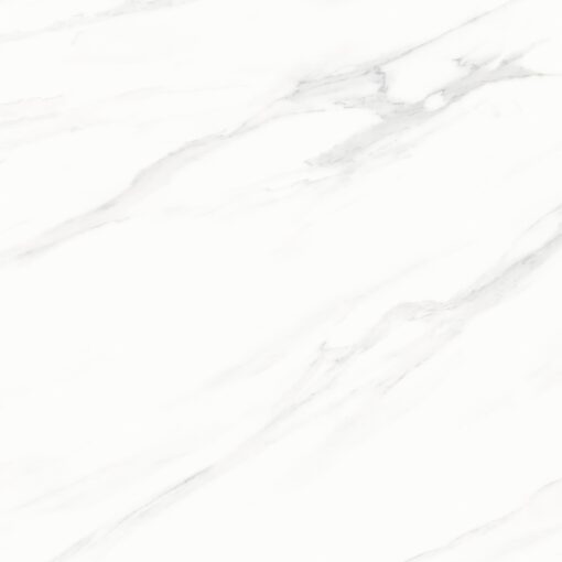P65073R