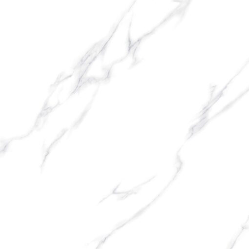 N88007R
