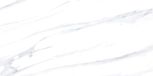 P6128010R
